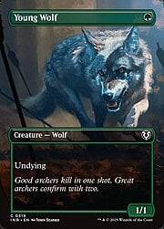 Young Wolf · Borderless 319