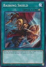 Bashing Shield · Common ENF16