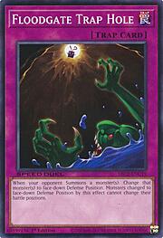 Floodgate Trap Hole · Common ENC19