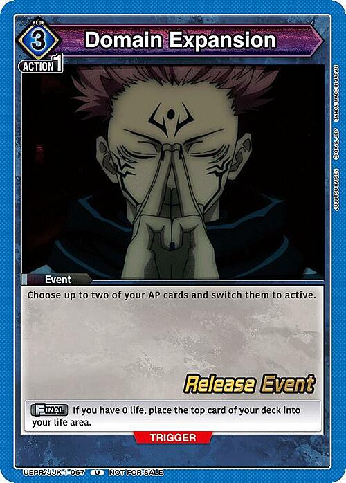 Domain Expansion Card Front