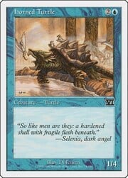 Horned Turtle 074