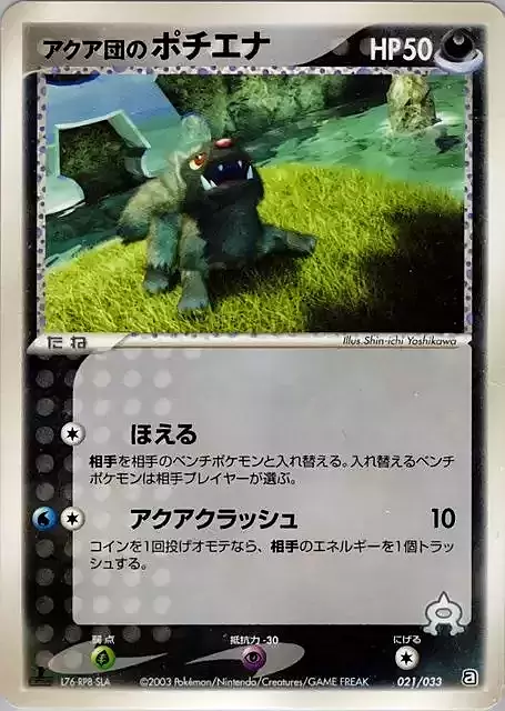 Team Aqua's Poochyena Frente