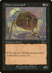 Giant Cockroach 054