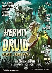 Hermit Druid · Borderless 488