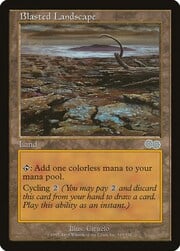 Blasted Landscape 319