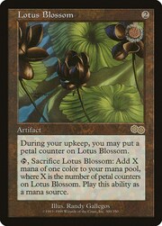 Lotus Blossom 300