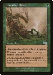 Spreading Algae 274