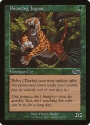Pouncing Jaguar 269