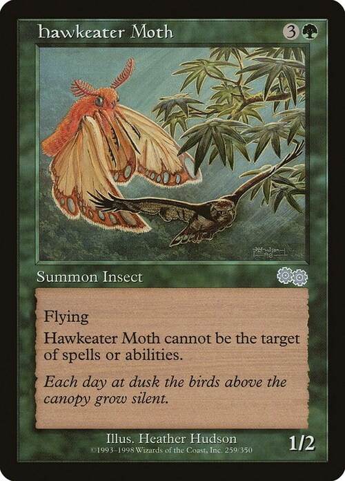 Hawkeater Moth Card Front