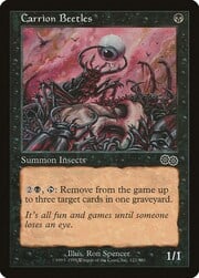 Carrion Beetles 122