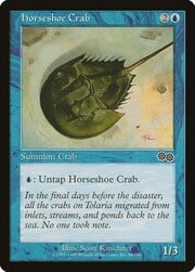 Horseshoe Crab 080