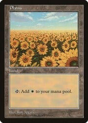 Plains · 4 004