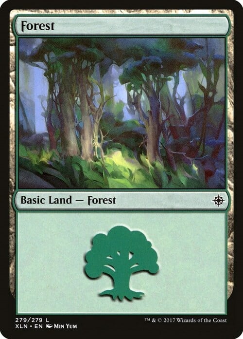 Forest Card Front