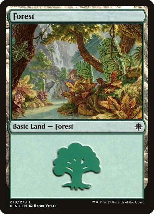 Forest Card Front
