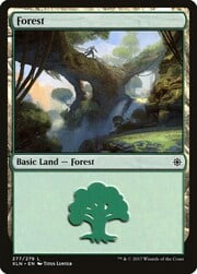 Forest · 277 277