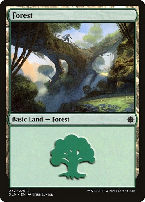 Forest Card Front