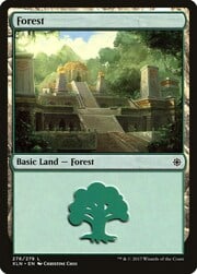 Forest · 276 276