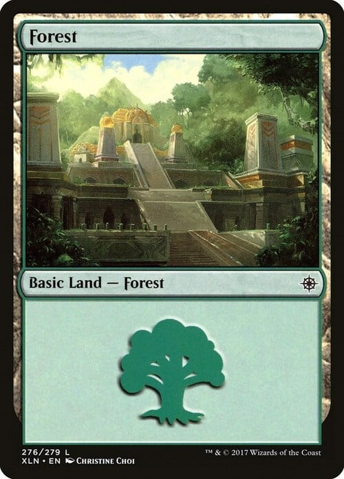 Forest Card Front