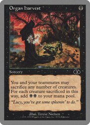 Organ Harvest 035