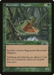 Rootwater Alligator 122