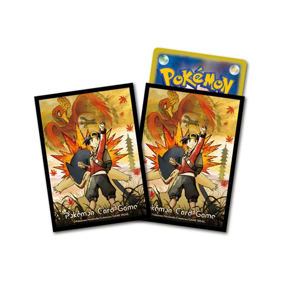 Ethan & Typhlosion Sleeves