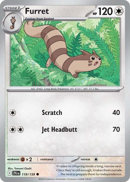 Furret Card Front