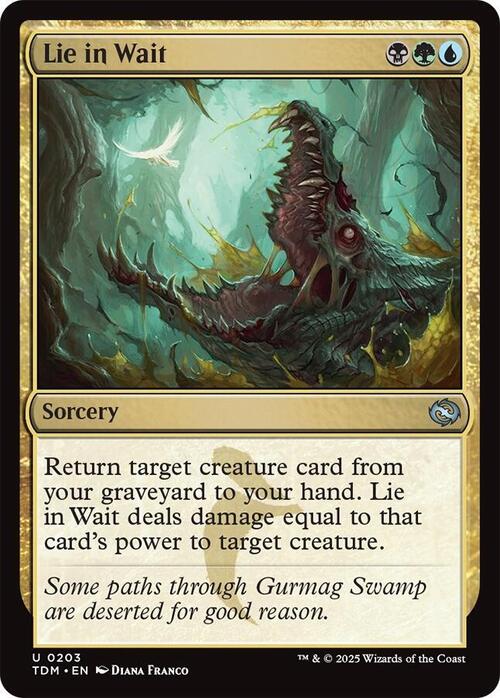 Lie in Wait Card Front