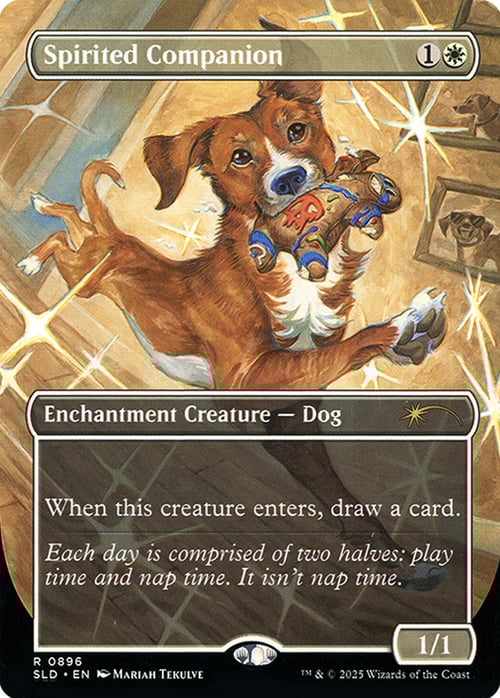 Spirited Companion Card Front