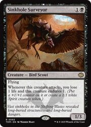 Sinkhole Surveyor 093