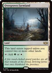 Overgrown Farmland 381