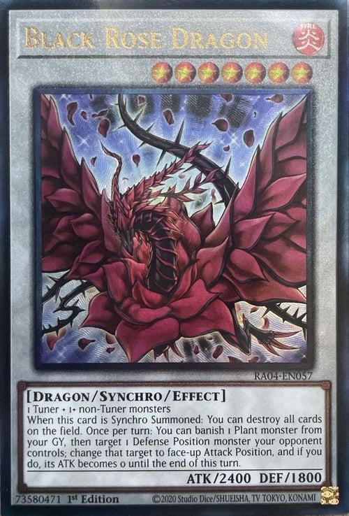 Black Rose Dragon Card Front
