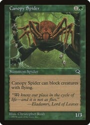 Canopy Spider 217