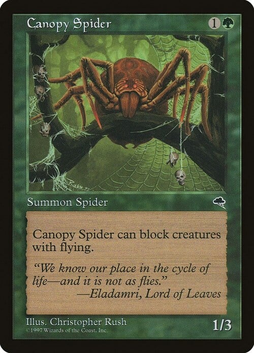 Canopy Spider Card Front
