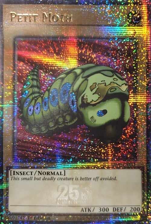 Petit Moth Card Front