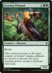 Grazing Whiptail 190