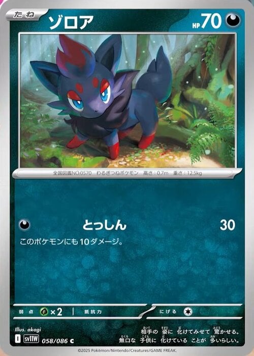 Zorua Card Front