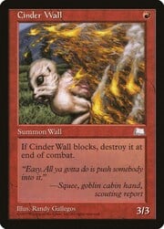 Cinder Wall 094