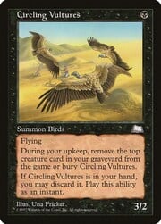Circling Vultures 064