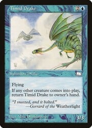 Timid Drake 054