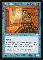 Sage Owl 052