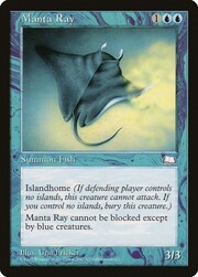 Manta Ray 042