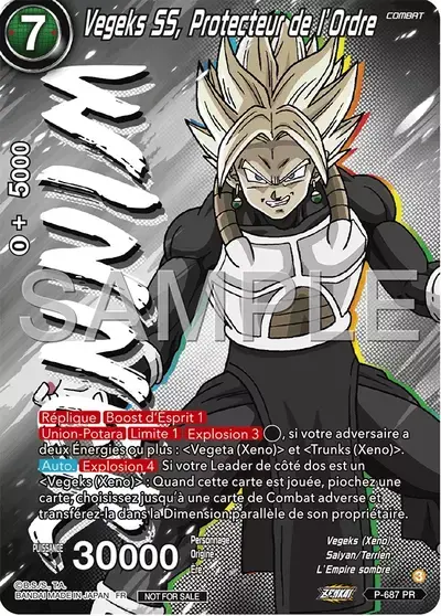 SS Vegeks, Protector of Discipline Card Front