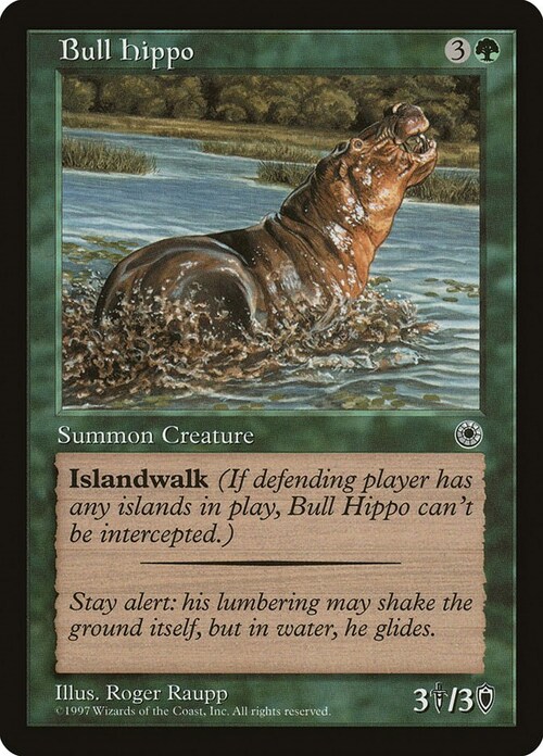 Hipopótamo macho Frente