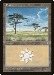 Plains · 196 196