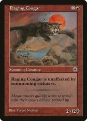 Raging Cougar 144