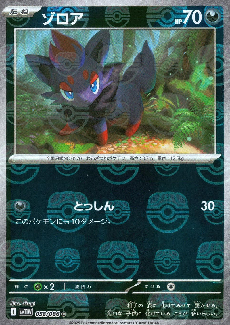 Zorua White Flare | sv11W - Master Ball Reverse Holo | Pokémon