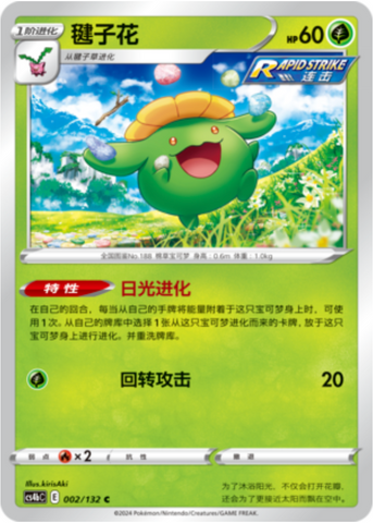 Skiploom Card Front
