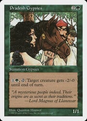 Pradesh Gypsies 317