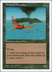 Birds of Paradise 280