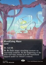Mystifying Maze · Borderless 074